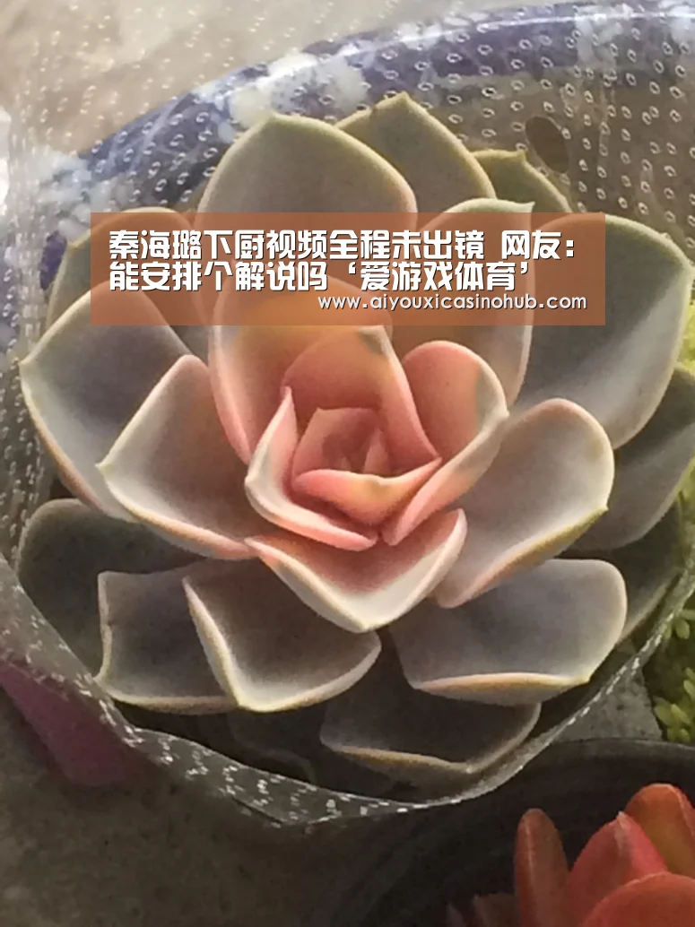 秦海璐下厨视频全程未出镜 网友:能安排个解说吗‘爱游戏体育’(图2) 爱游戏下载