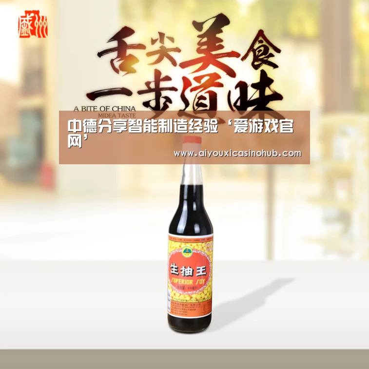 中德分享智能制造经验‘爱游戏官网’(图3) 爱游戏下载