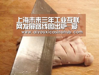 上海未来三年工业互联网发展路线图出炉-爱游戏体育(图1) 爱游戏体育