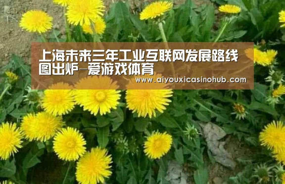 上海未来三年工业互联网发展路线图出炉-爱游戏体育(图2) 爱游戏下载