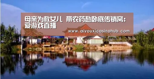 爱游戏直播