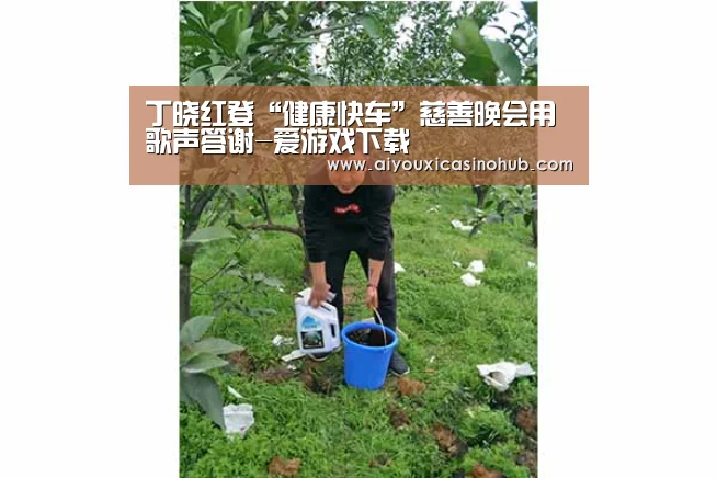 丁晓红登“健康快车”慈善晚会用歌声答谢-爱游戏下载(图1) 爱游戏下载