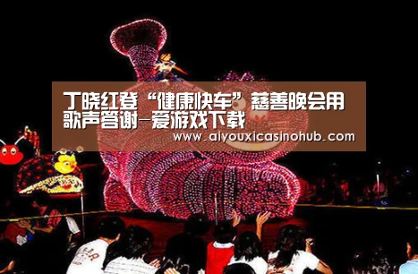 丁晓红登“健康快车”慈善晚会用歌声答谢-爱游戏下载(图2) 爱游戏官网