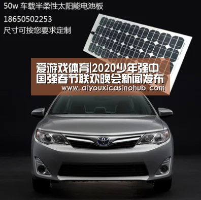 爱游戏体育|2020少年强中国强春节联欢晚会新闻发布会在京举行(图3) 爱游戏直播
