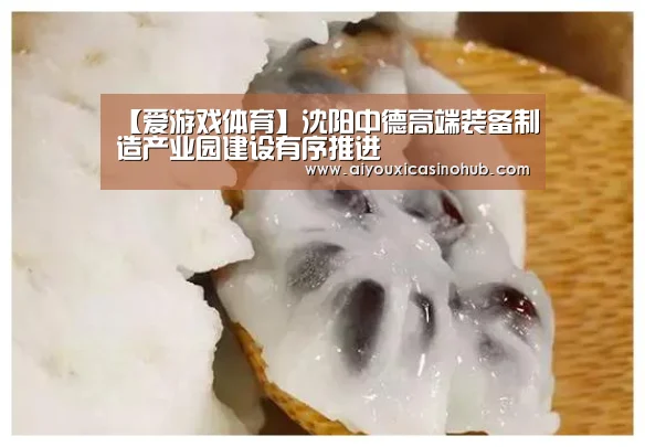 【爱游戏体育】沈阳中德高端装备制造产业园建设有序推进(图4) 爱游戏体育